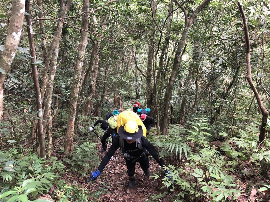 臺東縣消防局臺東大隊山域專責救援隊訓練 強化山域救援能力