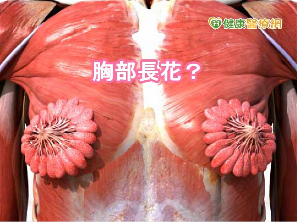 胸部長兩朵花瘋傳　與真實乳房有出入