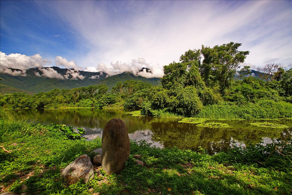 漫步關山人工濕地數星星 臺東縣環保局邀您體驗濕地夜的美好 