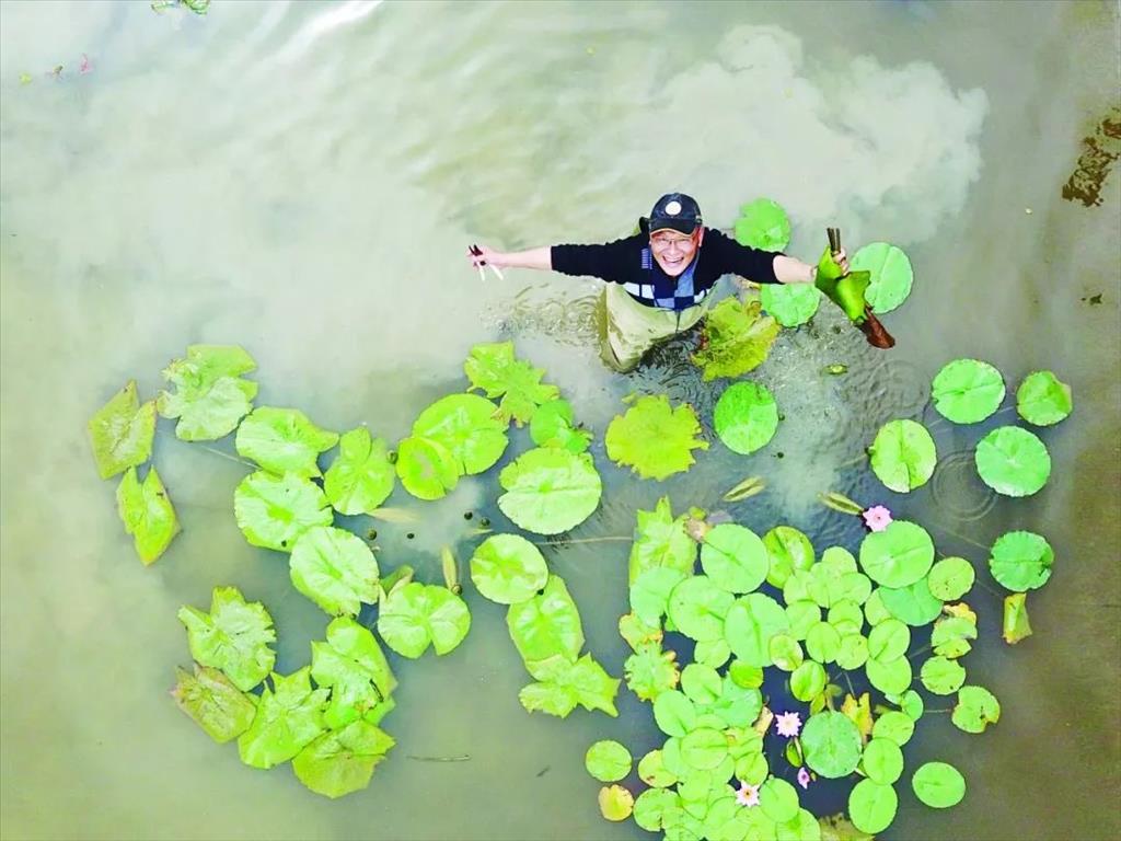 漳浦臺灣農民創業園的臺康園九品蓮花生態農場　 游斐淵 攝