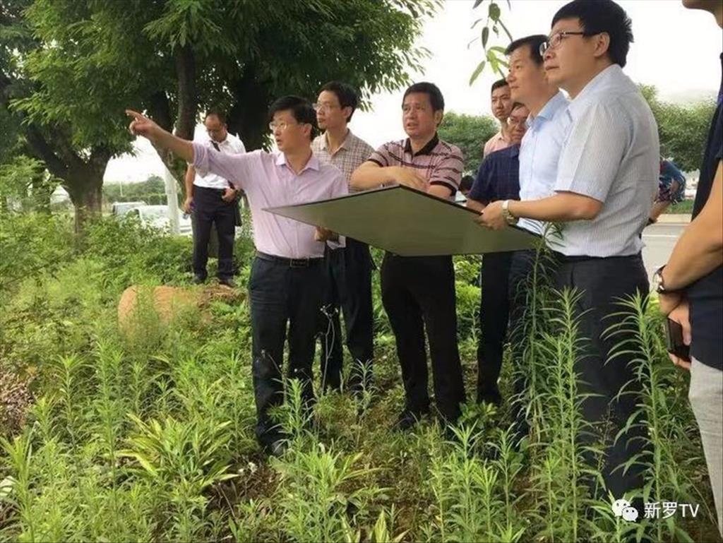 龍雁組團數字經濟產業園項目集中開工 點燃新羅高質量發展新引擎