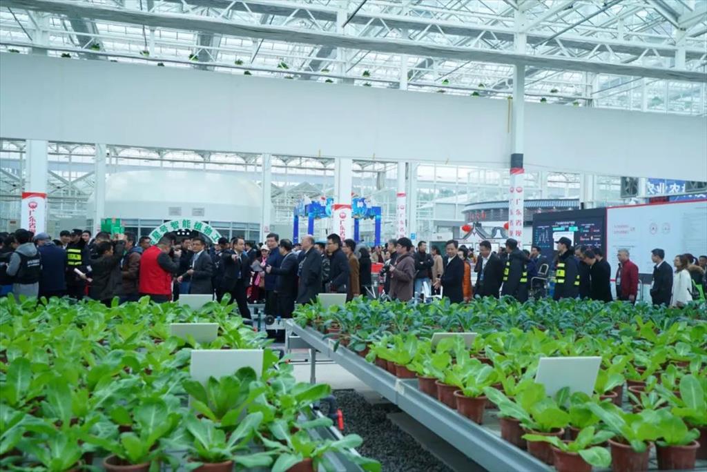 第十八屆廣東種博會將舉辦 推動農業發展新動能
