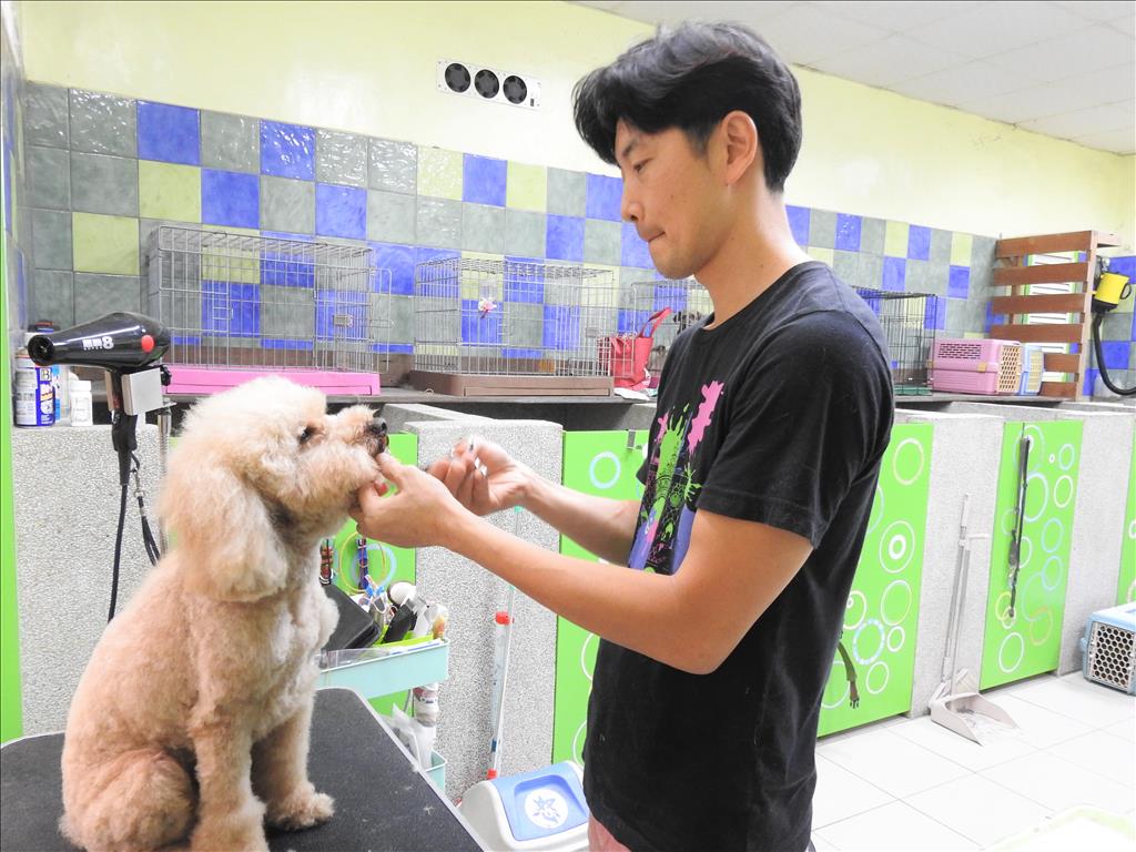 台東縣今年度寵物店評鑑出爐  「朵貓貓」奪冠