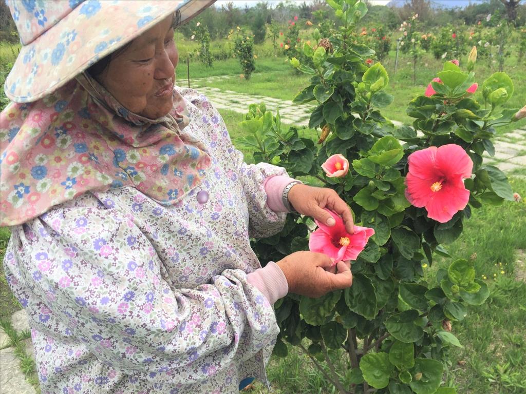 「森活大樹聚 守護綠家園」的植樹月活動 縣府準備3千株苗木供民眾免費索取