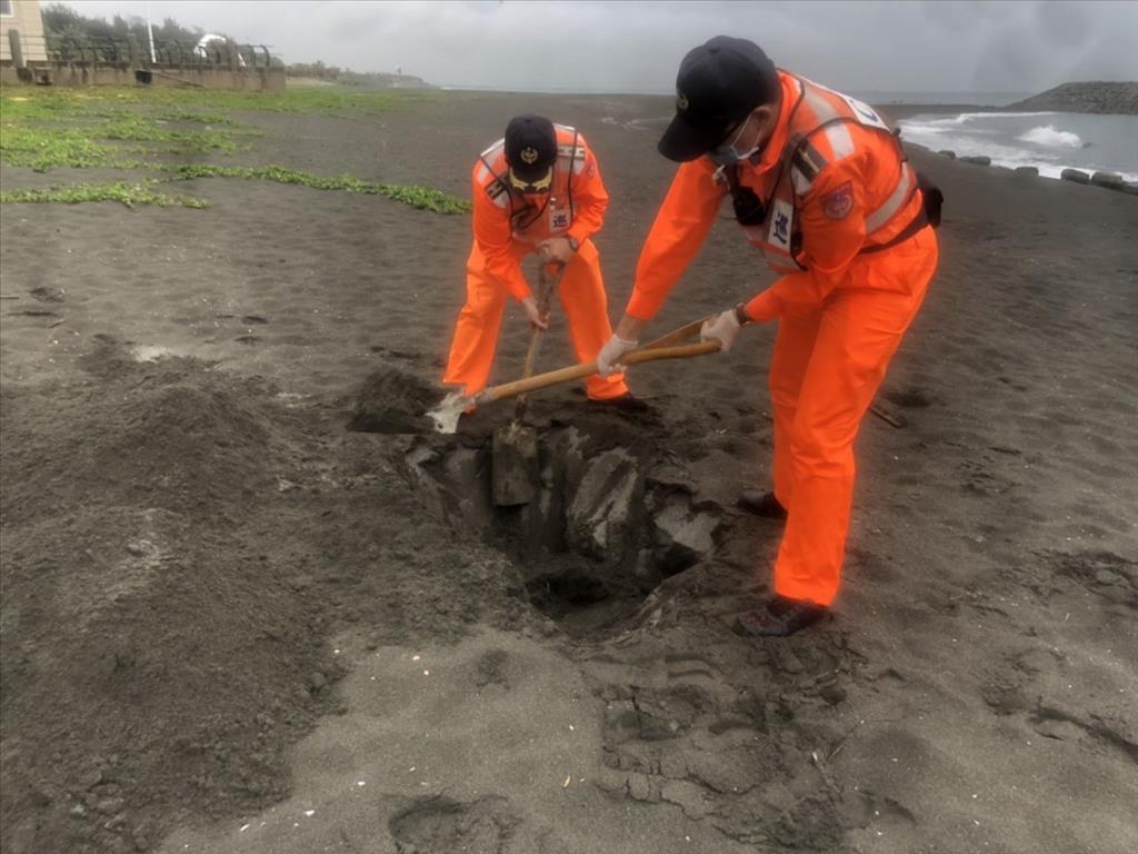 旗津沙灘驚見死亡海龜 海洋悲歌再添一樁